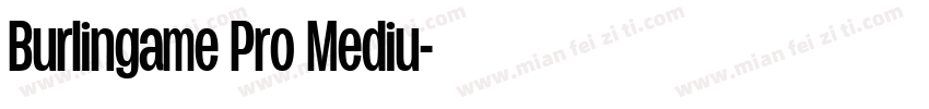 Burlingame Pro Mediu字体转换
